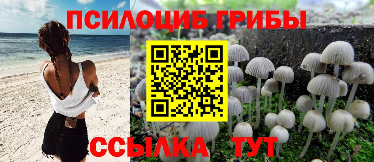 Галлюциногенные грибы MAGIC MUSHROOMS Кирово-Чепецк